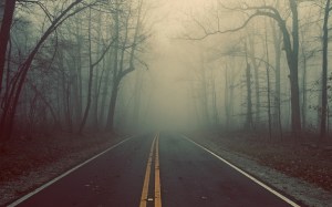 fog-photo-photography-road-trees-Favim.com-415063