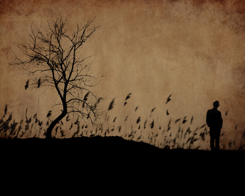 Until Struggling was&nbsp;Futile