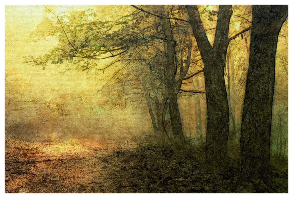 Her Pursuing Concern