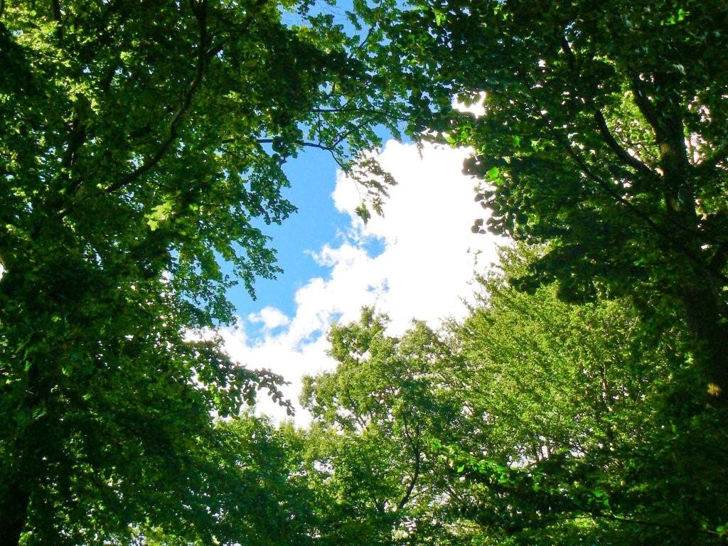 The Snare of&nbsp;Daydreams