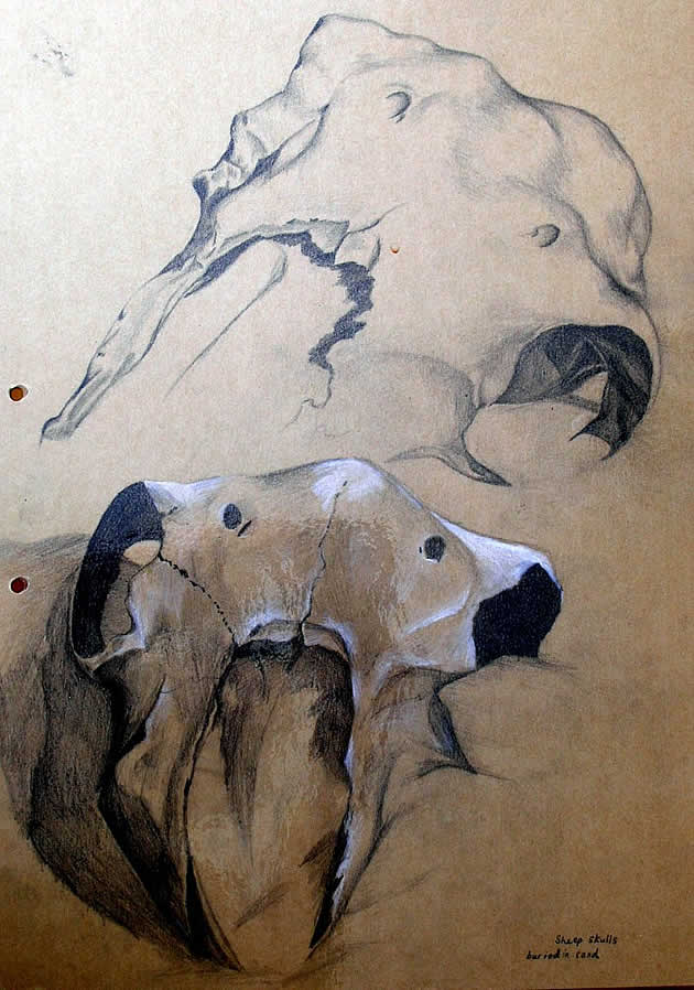 The Few Morsels I Spare