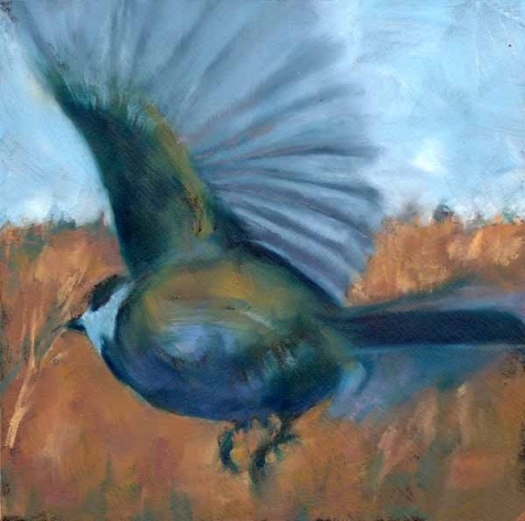 Beneath Fair and Fine&nbsp;Travelers