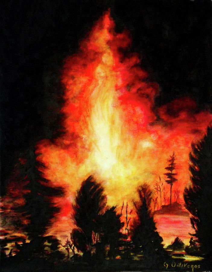 Weathered Black Trees