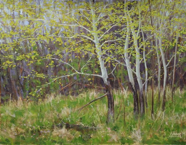 Springtime Affection