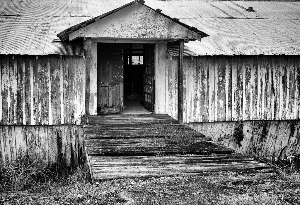 Ill and Faded&nbsp;Refuge