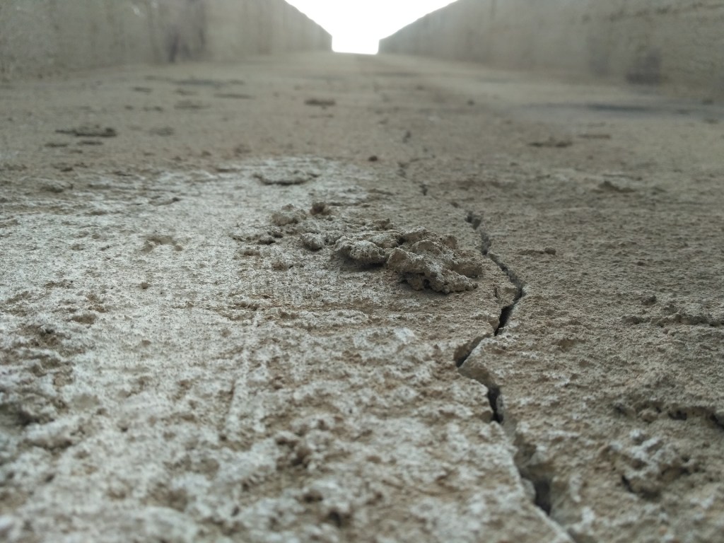 The Professor (Part&nbsp;2)