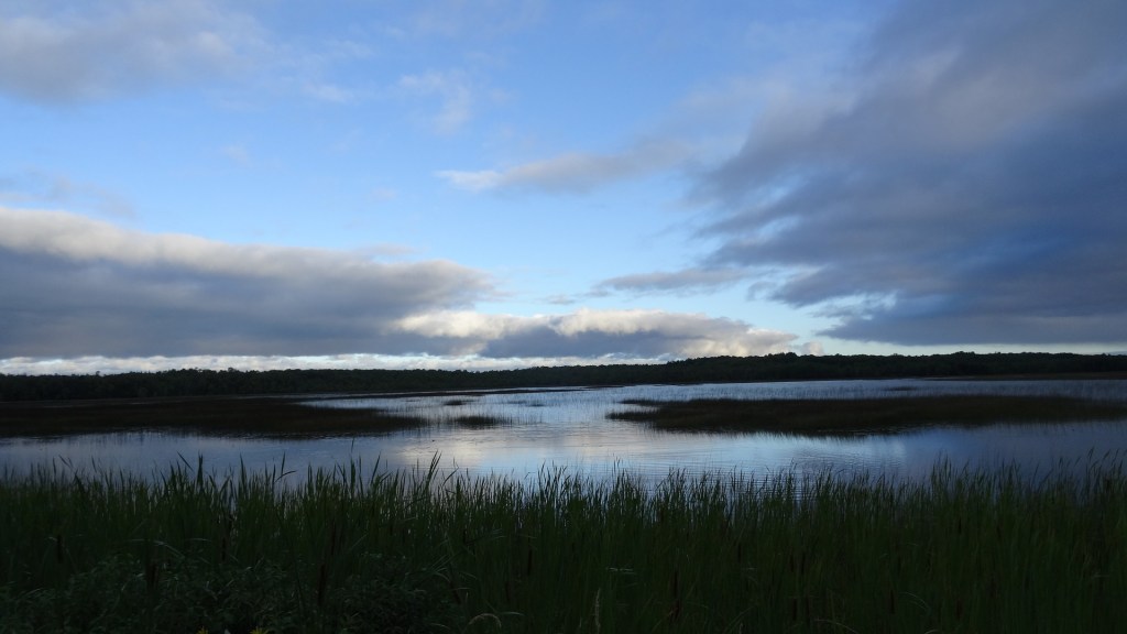 The Island of&nbsp;Marshes