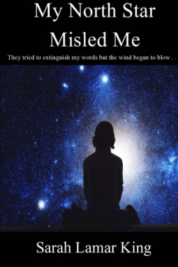 My North Star Misled Me