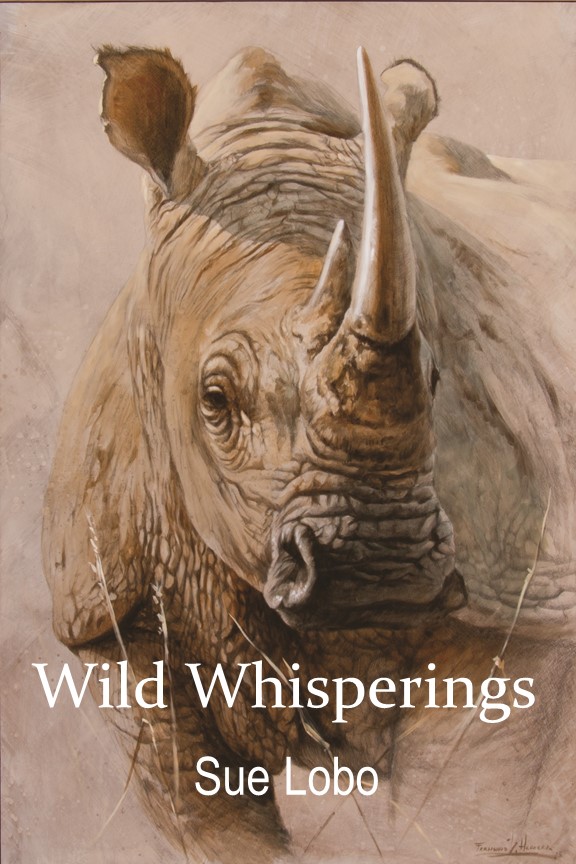 Mirlo by Sue&nbsp;Lobo