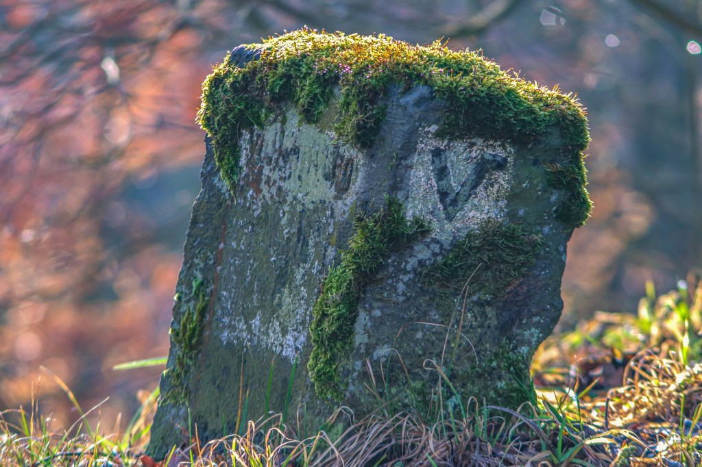 Milestones Buried in&nbsp;Moss