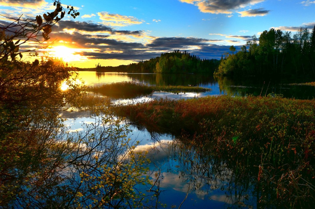 In the Marshlands After a&nbsp;Storm