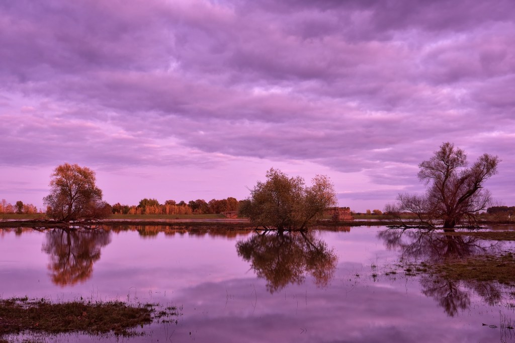 Wading Towards the&nbsp;Thunder