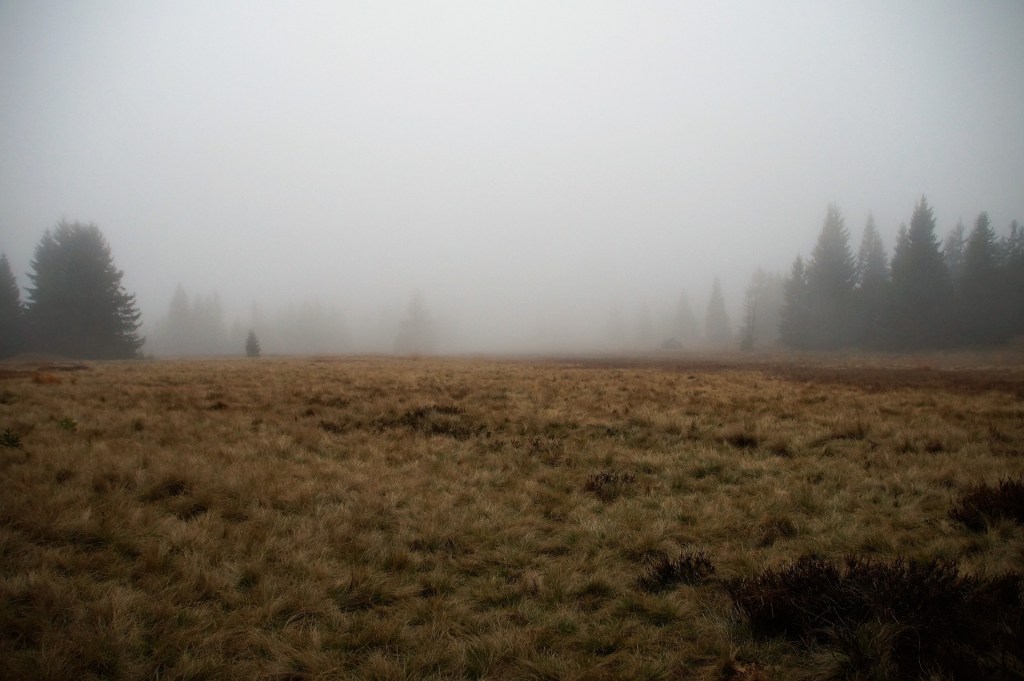 The Pearl at the Edge of the&nbsp;Mire