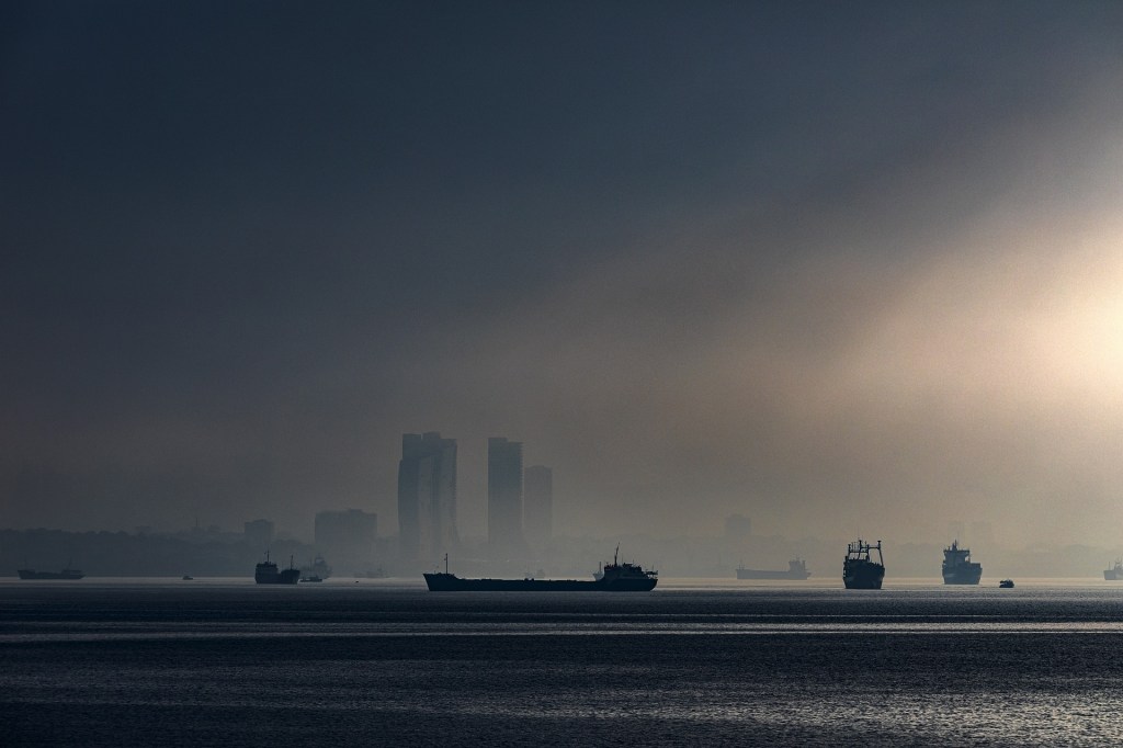 Landfall in the&nbsp;Mist