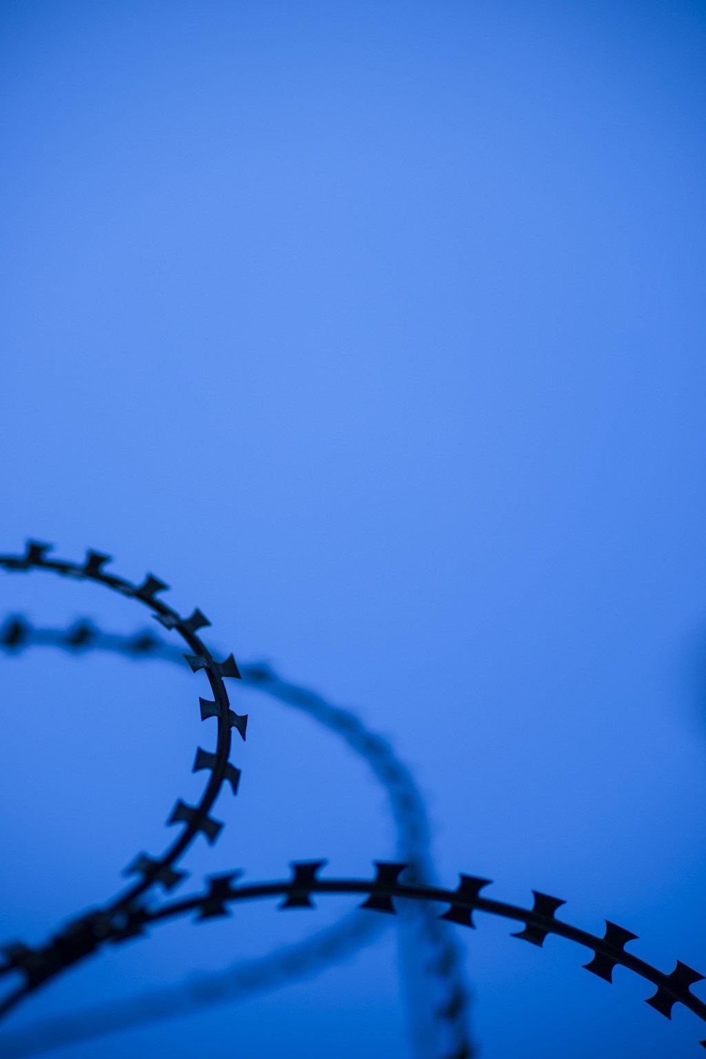 A Star’s Arc Over Razor&nbsp;Wire