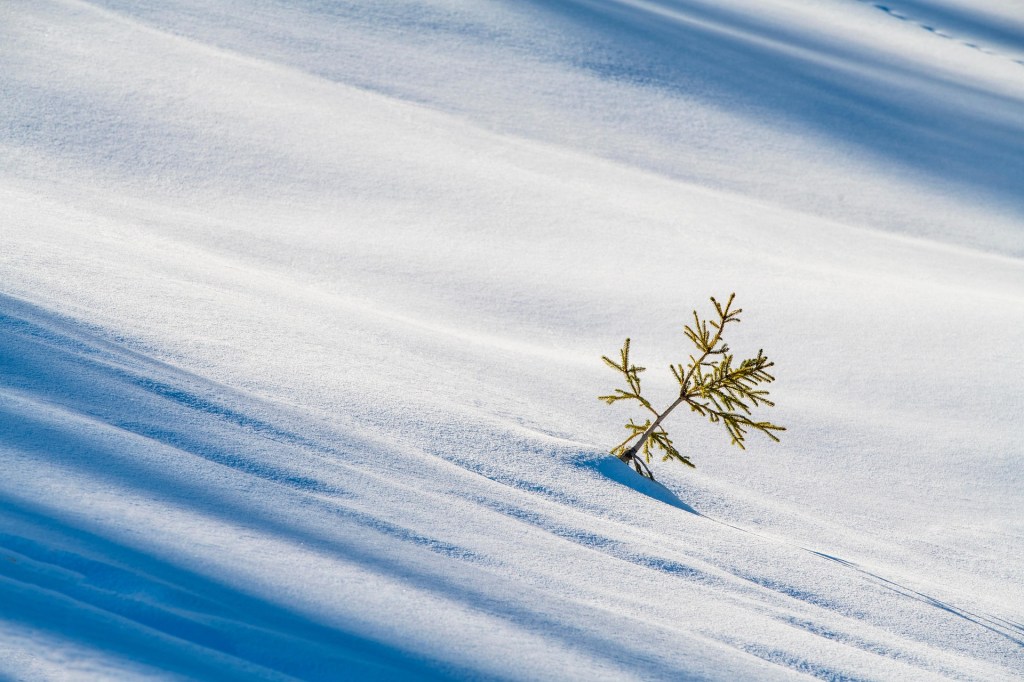 Alive on Forbidden&nbsp;Ground