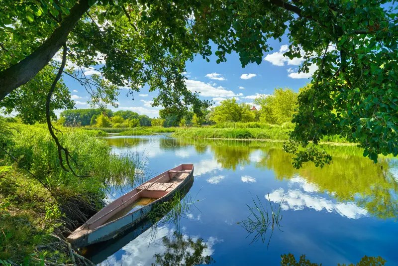 The Cold Blue&nbsp;Mirror